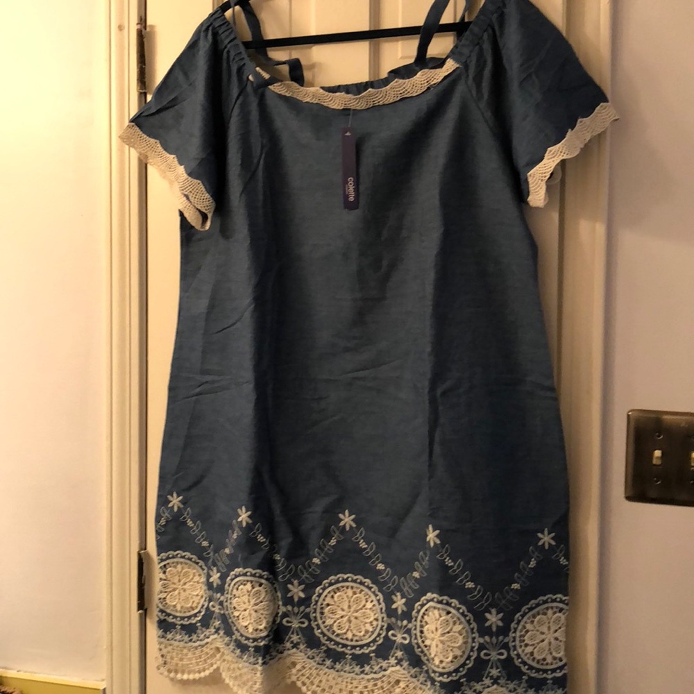 Deinm Dress/New